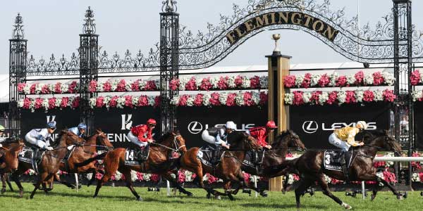 VRC-Flemington-banner